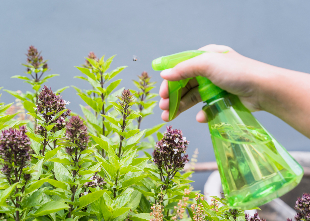 grow room sanitation